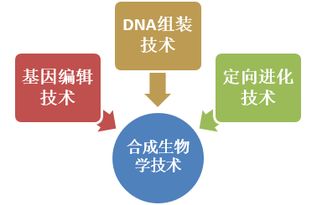 合成生物學領域的前沿技術及中國國際地位現狀