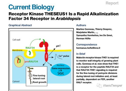 解鎖植物科學領域分子互作技術難題 5月28日生物核心論壇揭秘